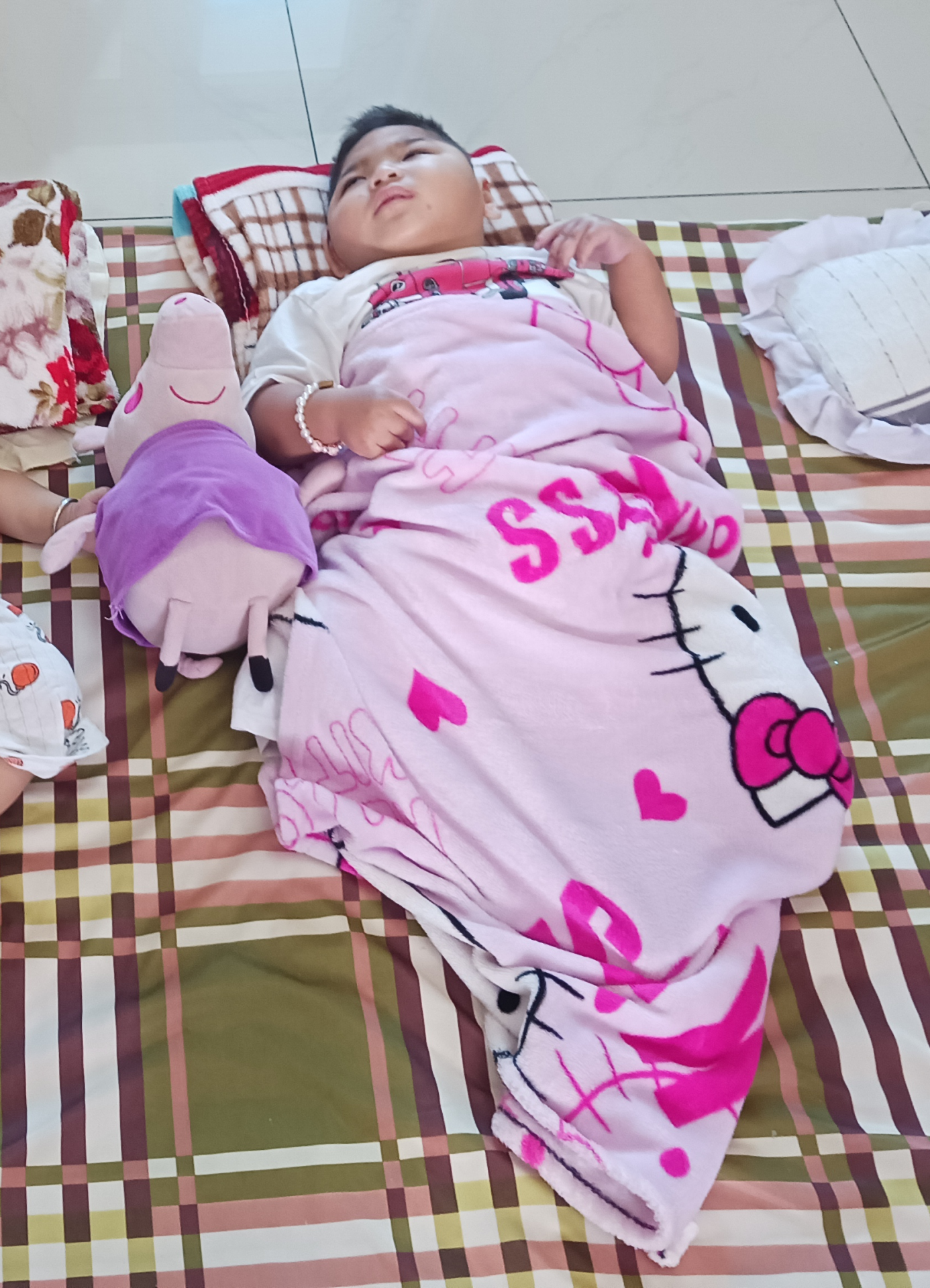 Handic dong nai